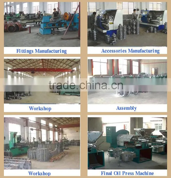 Stainless Steel Plant Seeds Oil Press Machinery Plant Oil Press Machine