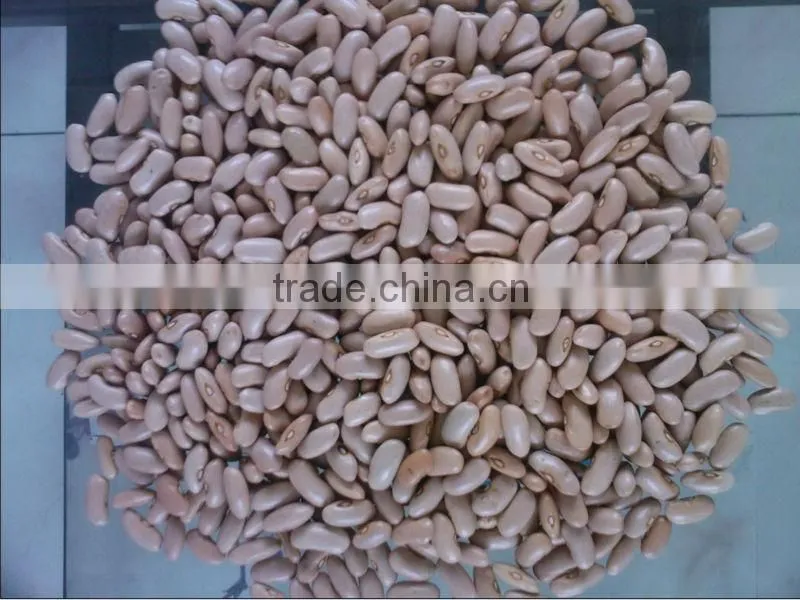 Dried Peas and other beans