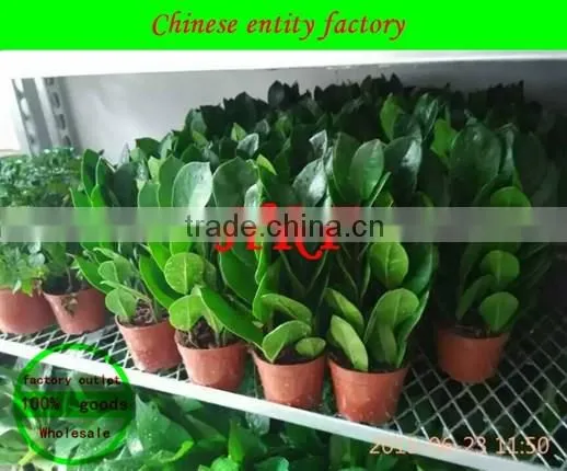 Mesh floats sell like hot cakes hot dip galvanized removable flowers car