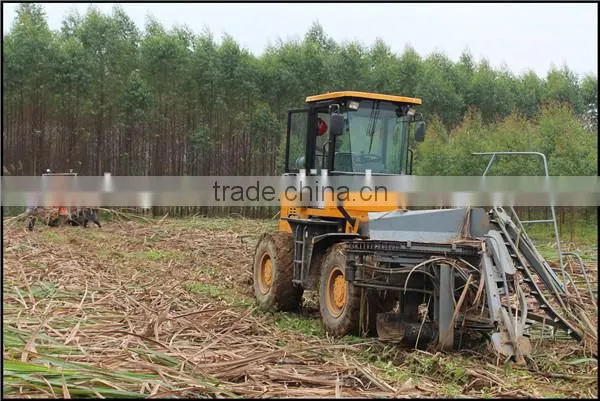 New condition brand product 6BCT-5 sugarcane leaf machine sugarcane peeling machine