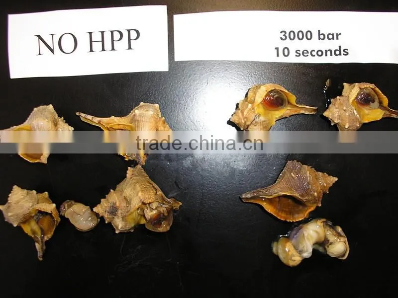 High-tech high pressure processing equipment food processing for sale with CE certificate