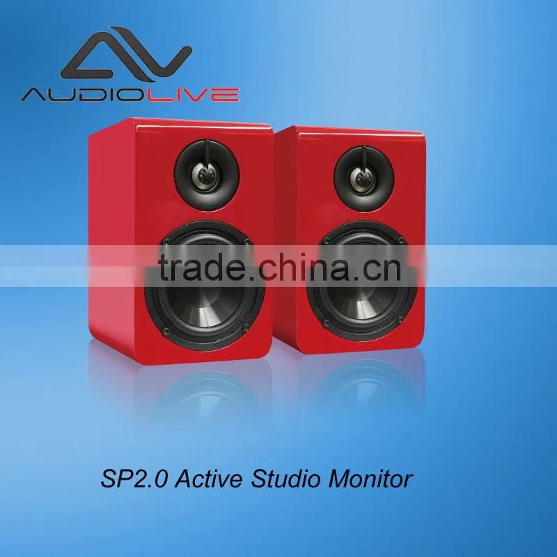 outdoor subwoofer 100w Professional infinity D10 Monitor Subwoofer Speaker