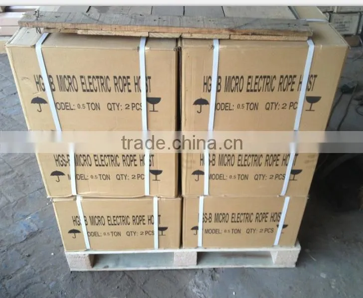 100kg PA100-200 mini wire rope electric hoist