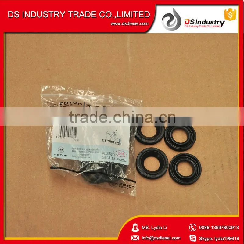 ISF Injector Gasket 5255313