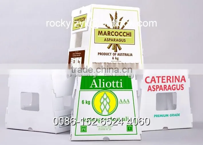 corrugated PP Apple packing case fruit storage carton packaging box