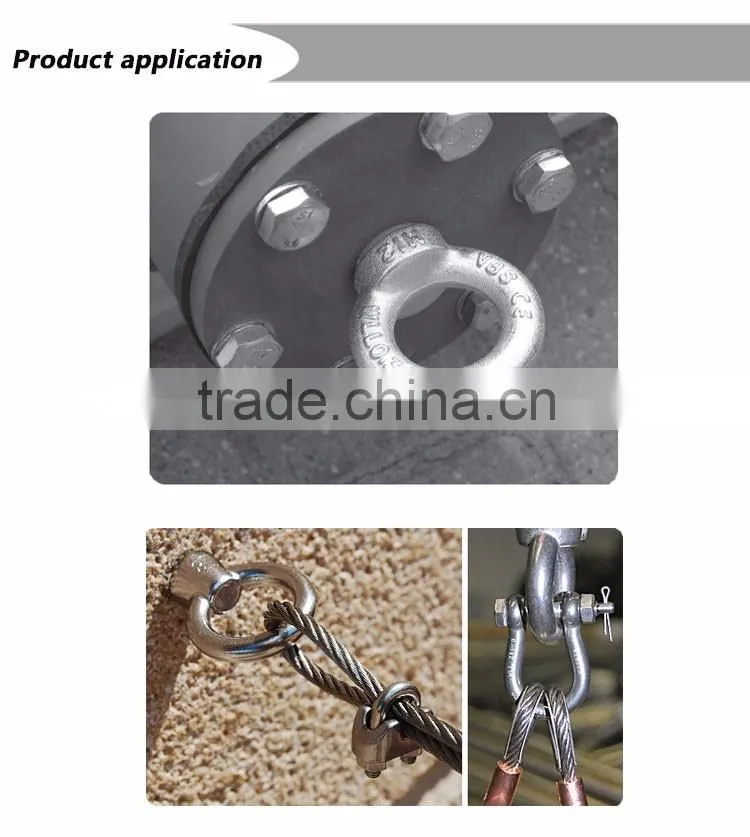 Rigging Hardware Din 582 Ring Nut