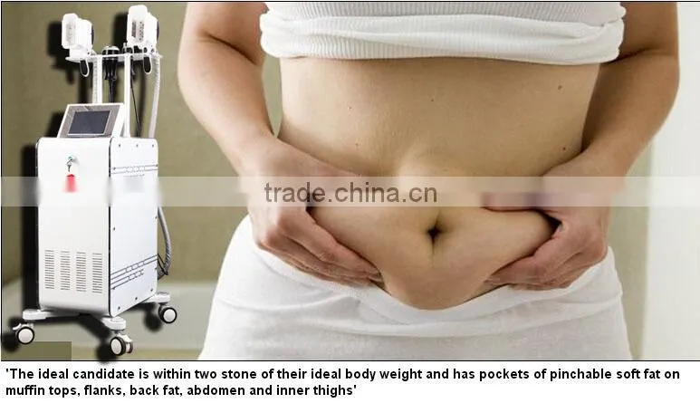 ice machine in beauty spa, 4 handles cryolipolysis, Vacuum Health Machine