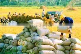 5% BROKEN LONG GRAIN RICE