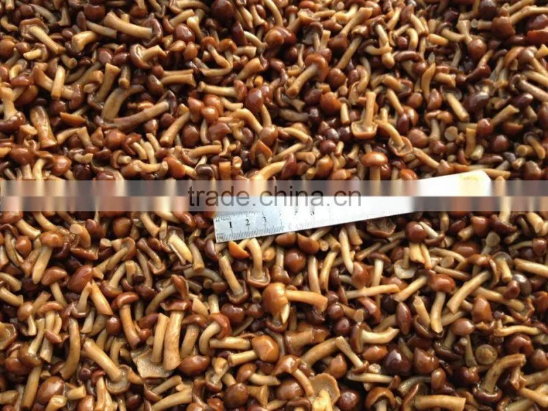 Nameko in brine