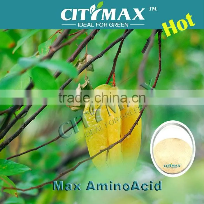 Humic Acid Amino Acid Powder