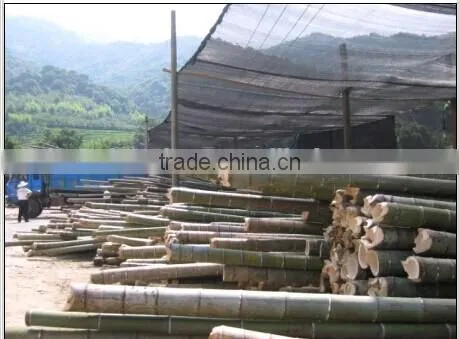 wholesale bamboo bbq charcoal