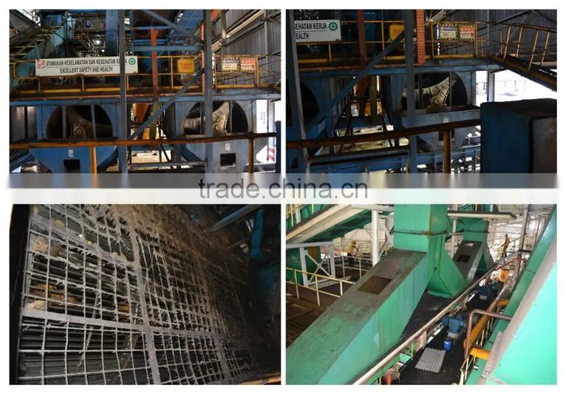 10TPH price palm oil mill plant from China