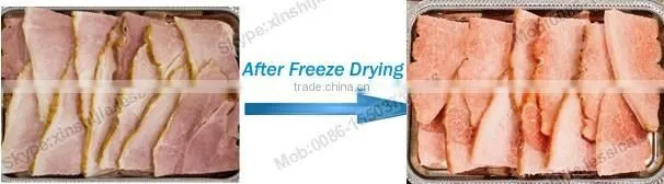 Easy used freeze drying fruit machine
