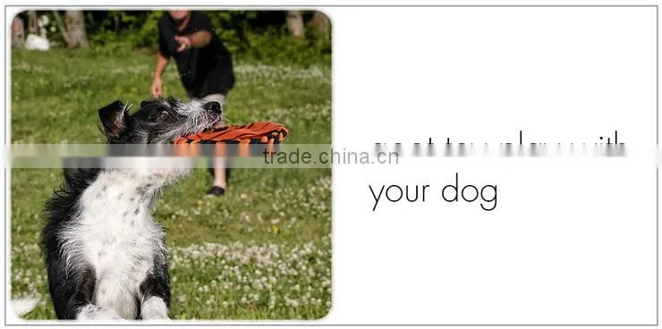 Best Pet Training Frisbee with Rope Ring