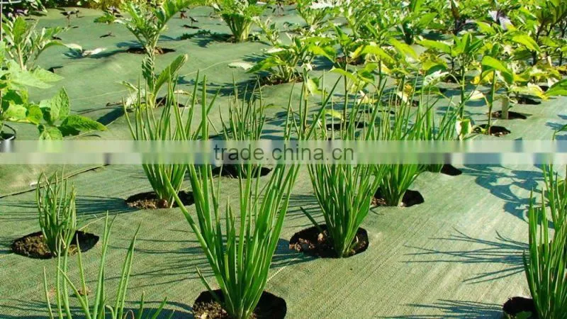 UV stabilised eco-friendly pp non woven garden weed control/guard mulch sheet/weed mat