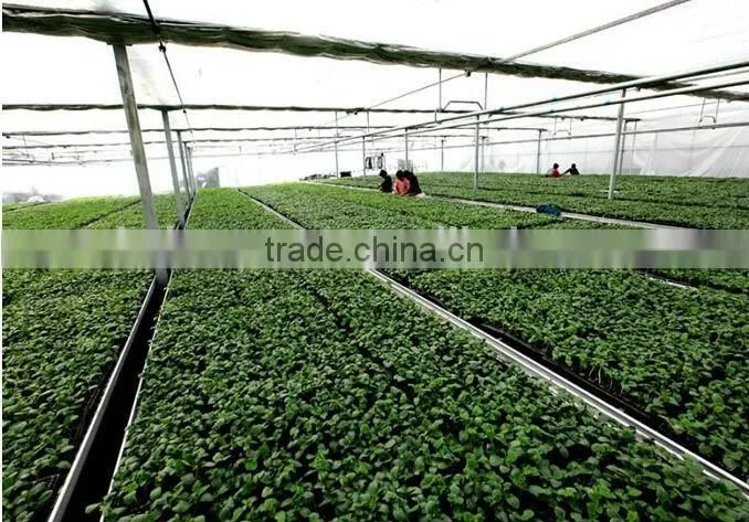 China Supplier PS material 21,32, 50, 72, 98, 105, 128 150 162 200 288 cells plastic trays plant nursery