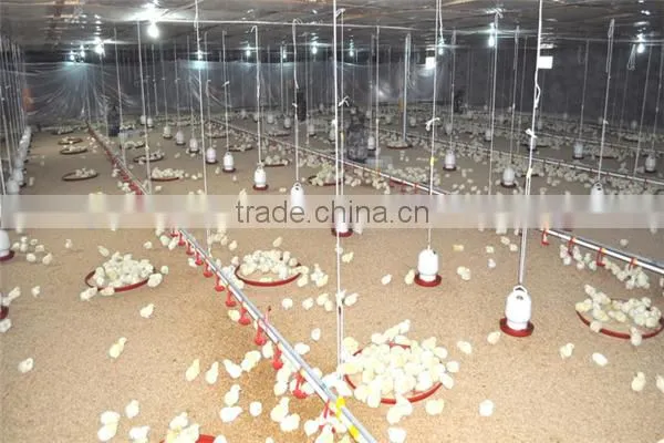 Industrial steel structure design poultry farm shed chicken house for layers