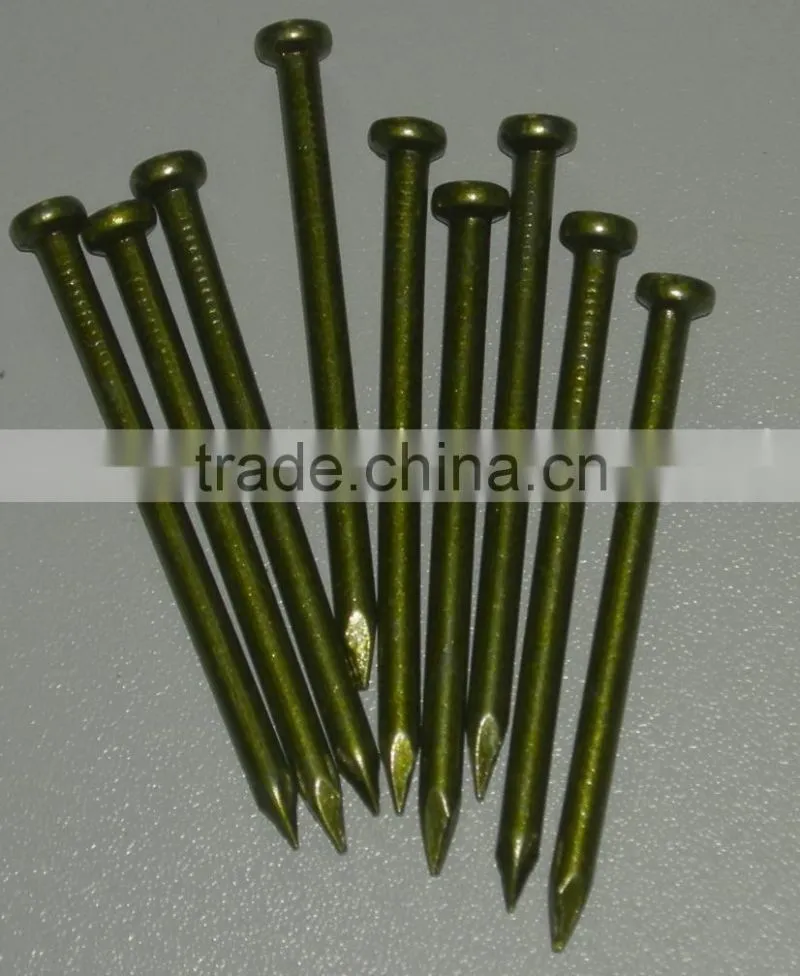 Polishing galvanized Common stainless iron round nail