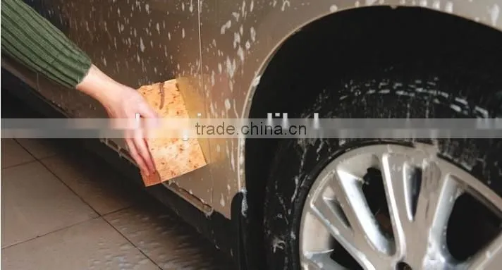 cleaning sponge for sale natural sea sponge