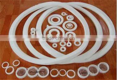 PTFE Washer and Ring