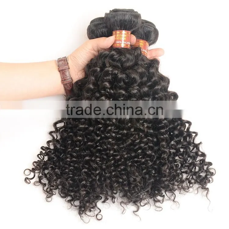 Unprocessed Kinky Curly Virgin Malaysian Hair Wholesale Malaysian Human Hair Weaves Curly Extension