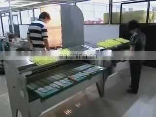Factory Professional Selling Full-function Hen egg/Duck egg/Salted duck egg washing machine