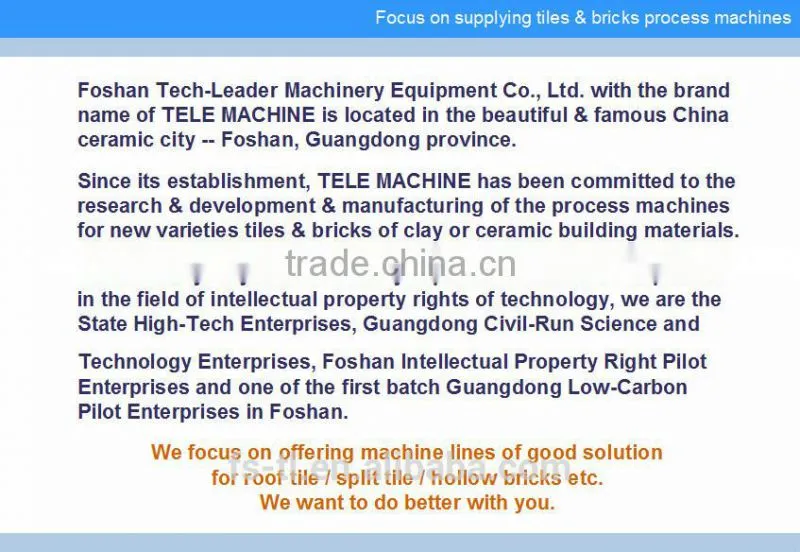 Leading Tecnology Brick machine Hydraulic Splitting Machine TL-PZJ Series