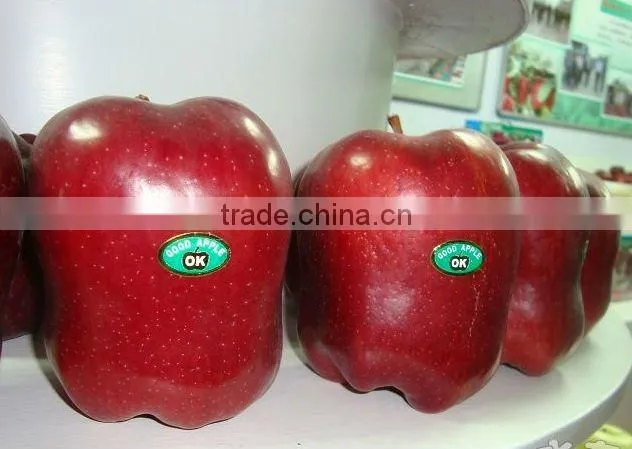 2014 chinese Huaniu apple