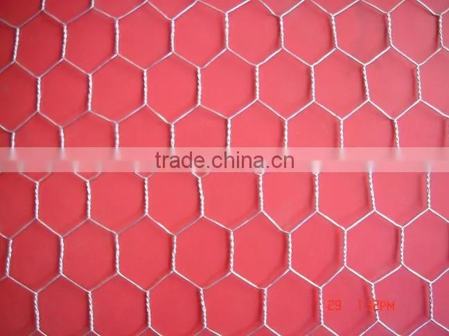 hex netting