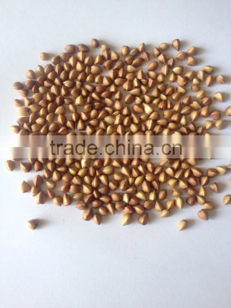 ROASTED BUCKWHEAT