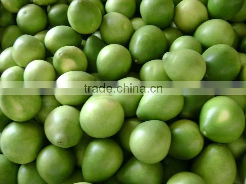 New Crop Grade A fresh sweet green pomelo price