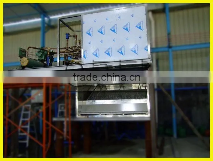 Automatic Plate Ice Maker Machine Price