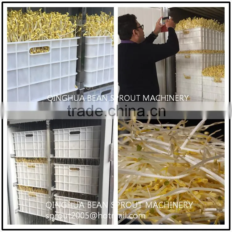 automatic bean sprout machine bean sprout growing machine