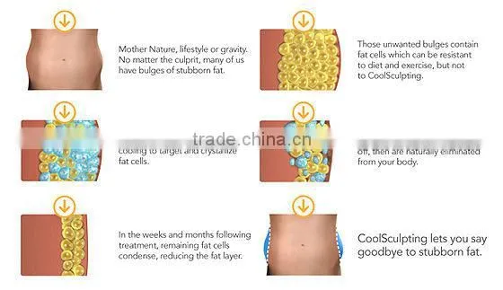 ultasound beauty care instruments for loss weight