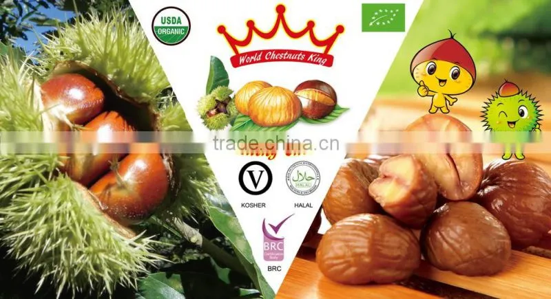 health food products