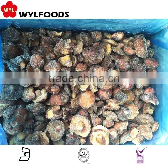 Top sale Best price frozen Suillus granulatus 2016