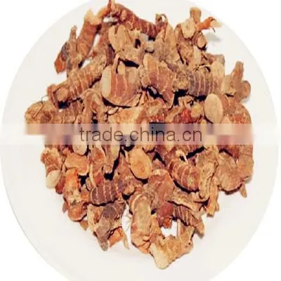 Chinese Galanga Root