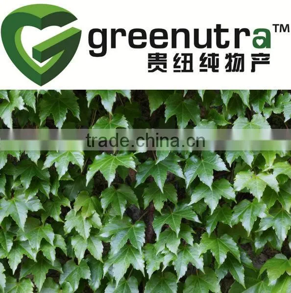 Ivy Extract/Hederagenin C /Hedera Helix Extract