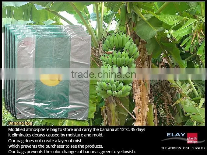 Dragon fruit bag