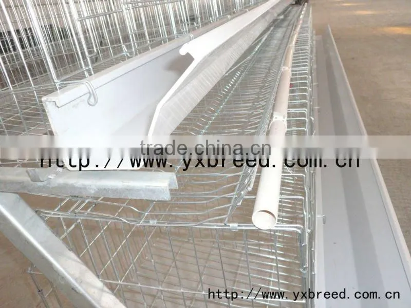 Poultry Feeder trough use for layers and broilers cages