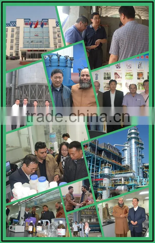 Best supplier home sunflower seed oil press machine