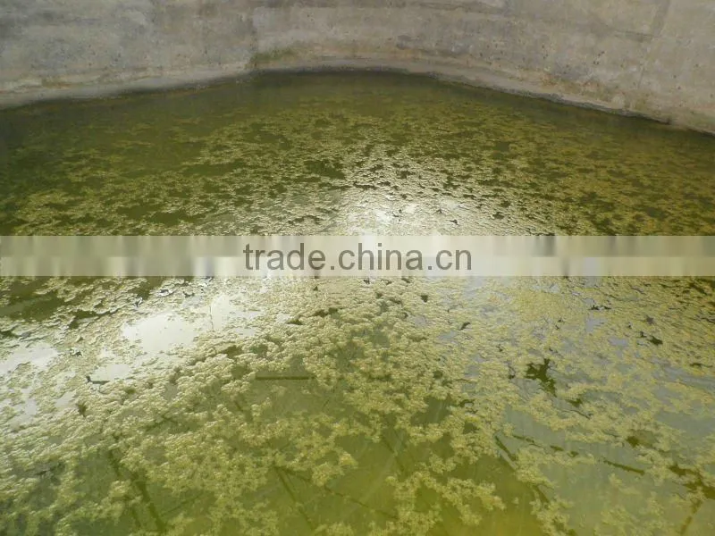 150T/Hr Sea water treatment protein skimmer for aquafarm