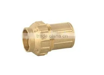 Tubeless Valve