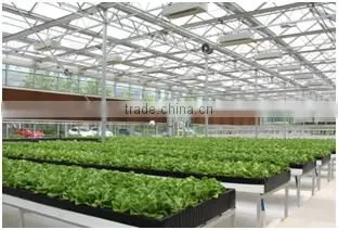 Hydroponic Fruit and Vegetable Glass Greenhouse