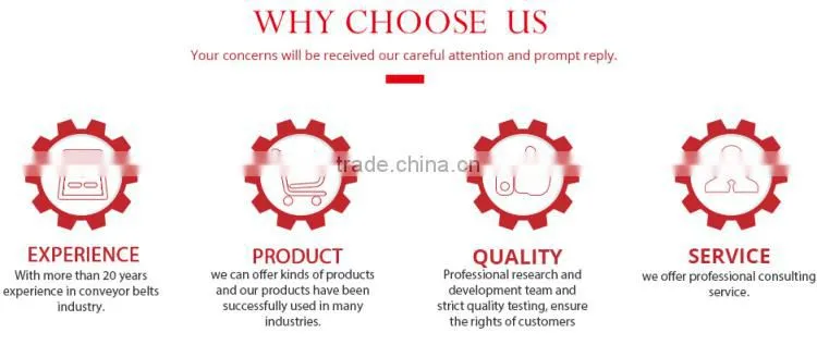 China manufacturer plastic modular belt for conveyor