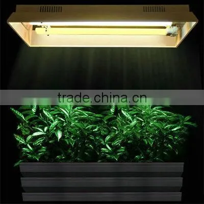 Dual Lamp T5 Fluorescent Bulb Grow Light Hood Reflector