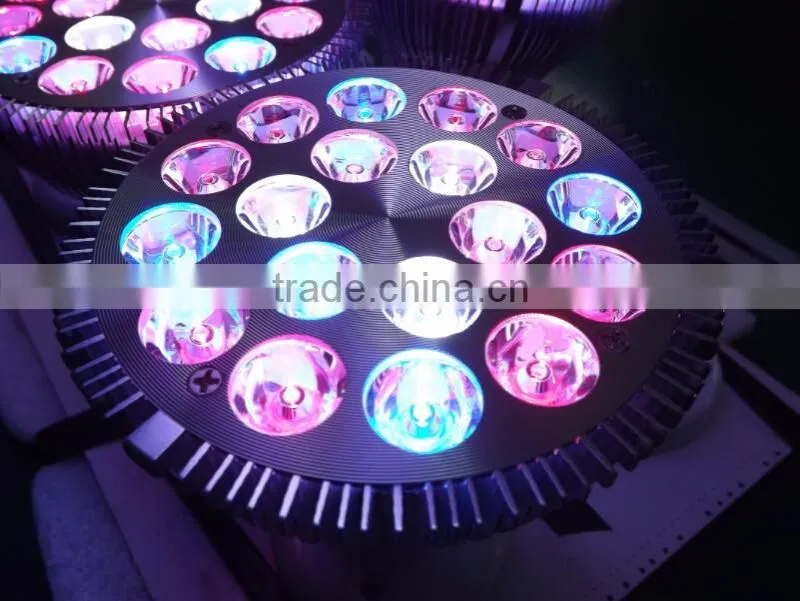 best 12W led grow plant light red blue color mix par light wholesale