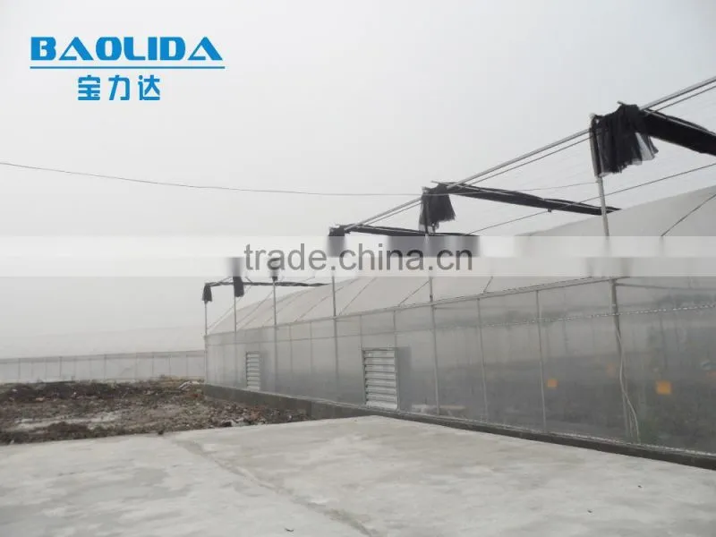 large multi span greenhouse Polyethylene greenhouse agriculture greenhouse