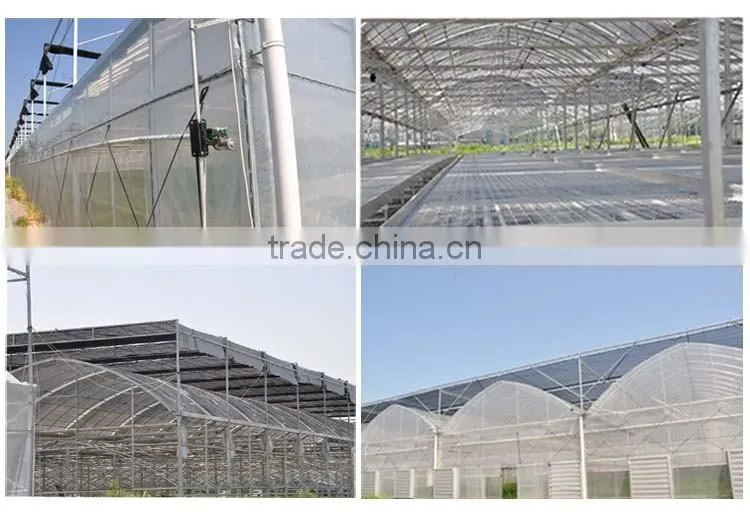 Commercial Greenhouse,Industrial Greenhouse,Agricultural Greenhouse