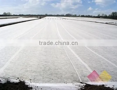 3% UV resistant agriculture nonwoven fabric